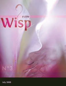 Wisp-03-20080707_Page_01.preview