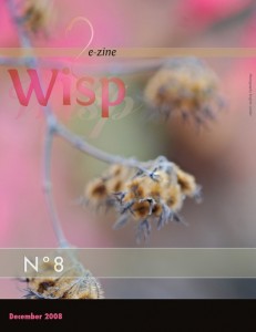 Wisp-08-20081208_Page_01.preview