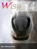 Wisp 14 (2010)